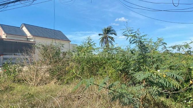 🔵Cần Thanh Lý Gấp 10x50 100 Thổ Cư Nguyễn Chí Thanh Lagi Giá Ngộp