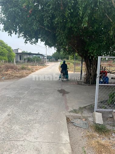 Bán đất 10x34m, full thổ cư, đường 4m, hẻm Lê Minh Công,Tân Phước,LaGi