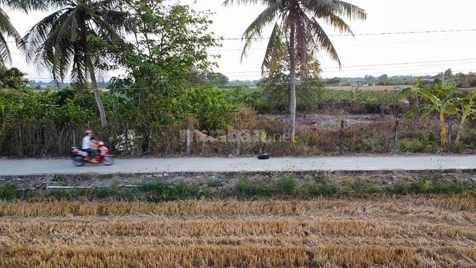 **Bán lô đất ở mặt tiền đường Nguyễn văn mỹ ở Tân trụ,Long An