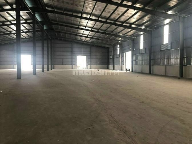 Cho thue Kho Zamil tieu chuan tai cang Khuyen Luong dien tich 1000m2 