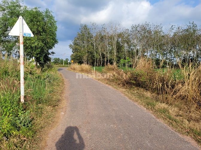 5x43. Đường nhựa, 215m2 thổ. Đường nhựa thông vào KCN. 525tr.
