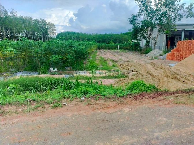 5x43. Đường nhựa, 215m2 thổ. Đường nhựa thông vào KCN. 525tr.