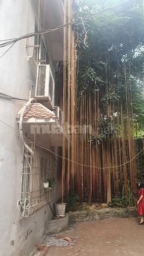 Bán nhà 263 phố Thuỵ Khuê, quận Tây Hồ, Hà Nội, diện tích 224,32m2