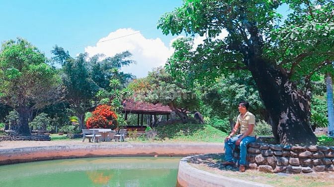 Bán Nhà Vườn 2,3 Hécta Tại Cam Lâm, Khánh Hòa