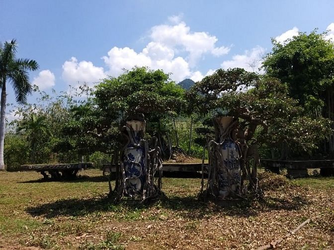 Bán Nhà Vườn 2,3 Hécta Tại Cam Lâm, Khánh Hòa