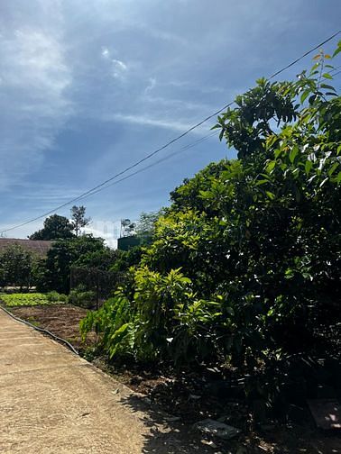 Bán 1.1 sào có 100m2 thổ mặt tiền đường nhựa 10m sát cao tốc sau s/bay