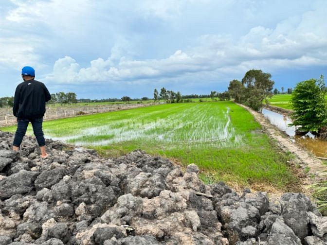 Đất chính chủ Cần Bán, mặt tiền 40m
