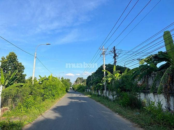 Bán 1000m2 MT Bình Hoà - Cây Dương giá 4,5 tỷ SHR view sông Đồng Nai