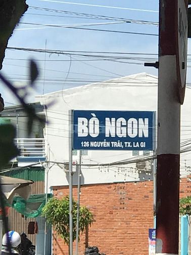 Cần tiền bán gấp đất thổ cư đường Nguyễn Trãi, p Bình Tân giá rẻ 
