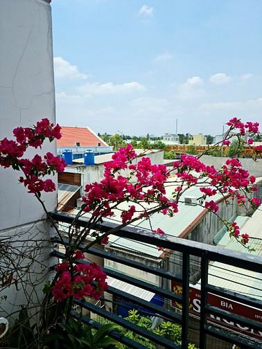 BÁN NHÀ 1 TRỆT 2 LẦU NHÌN RA HƯỚNG CẦU PHÚ LONG NGANG 7.39m DÀI 25m
