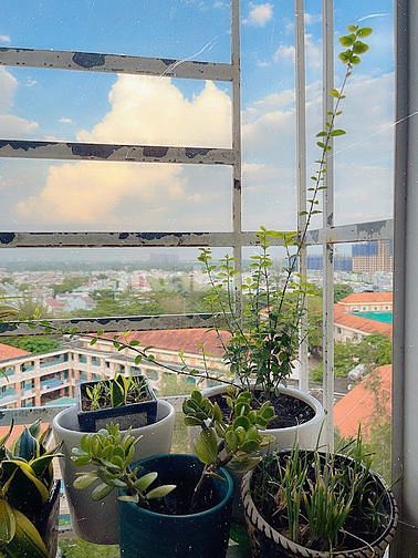 CC D1 KDC Phú Lợi P7 Q8 CH 2PN 71m2 SHR lâu dài, thang máy thẻ từ