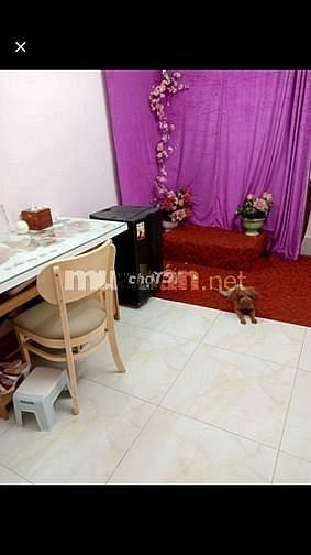 Bán nhà trung tâm quận Ba Đình. Ngõ phố Cửa Bắc, 23m2, 4 tầng