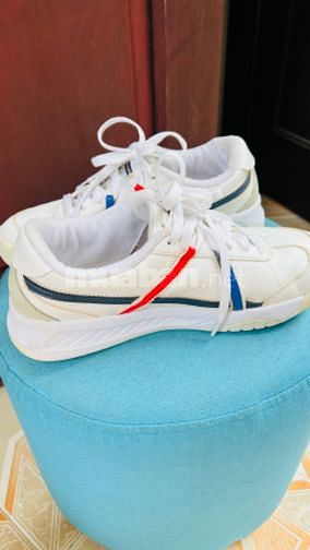 Giầy le coq sportif Nam size 41 màu trắng