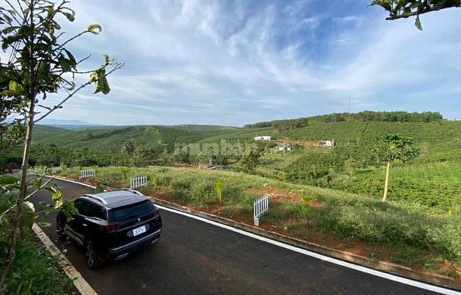 Kẹt Tiền - Bán Lô Thổ Cư 664m2 DT725 Lộc Ngãi
