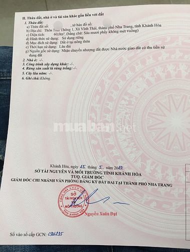 87m2 - Thái Thông bên hông Mỹ Gia