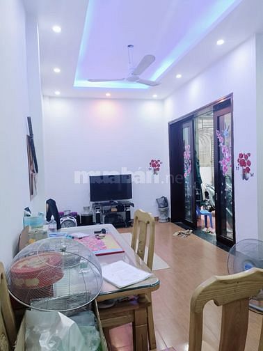 Bán nhà Ngõ Bạch Mai, Hai Bà Trưng, 46m2, ô tô gần, giá 3 tỷ 95