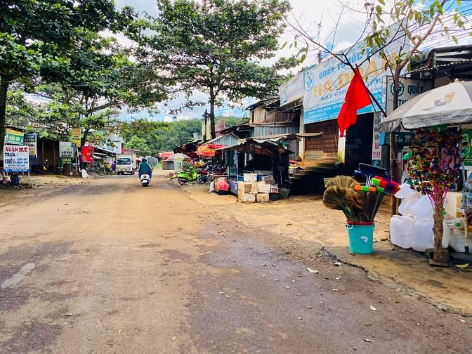 Bán rẻ hơn 1 sào đất trồng cafe, cây ăn trái chỉ 253 ngàn/m2