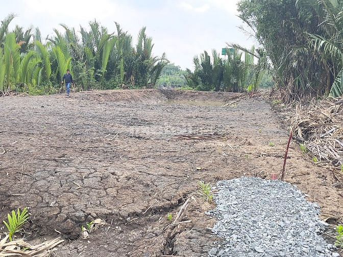 Cần bán 573m2 đất cây lâu năm đường Thanh Niên Xung Phong Nhà Bè