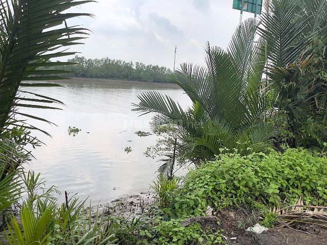 Cần bán 573m2 đất cây lâu năm đường Thanh Niên Xung Phong Nhà Bè