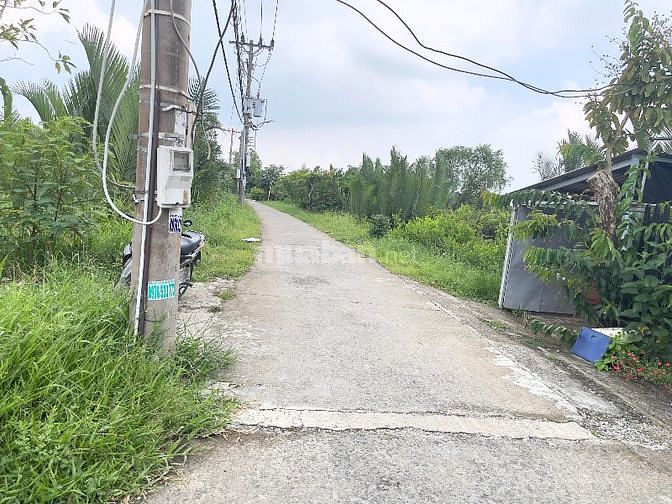 Cần bán 573m2 đất cây lâu năm đường Thanh Niên Xung Phong Nhà Bè