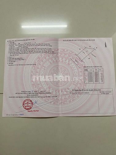 Chính chủ cần bán 15000m2 siêu rẻ tại Cam Lâm, Khánh Hoà