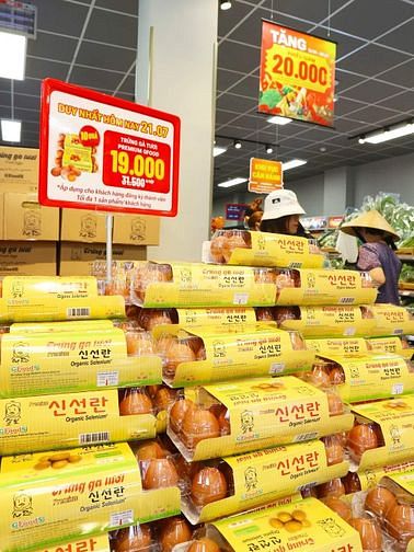 📣TUYỂN GẤP 70 LĐPT ĐI LÀM NGAY - QUÝ 4/2023 - THỜI VỤ/CHÍNH THỨC 📣