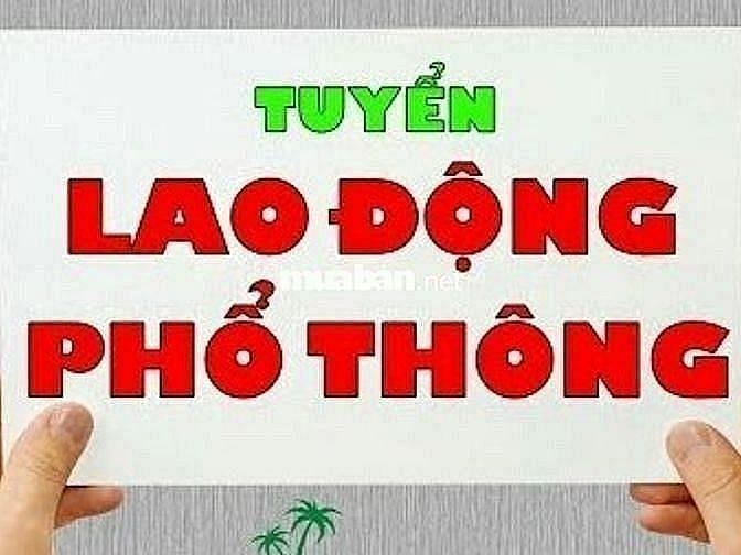 THANH HOA cần tuyển gấp LĐPT phụ kho ,đóng gói dán temo