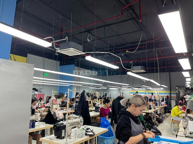 BÁN GẤP 3000M2 ĐẤT TMDV Hoàng Mai, 90 TỶ
