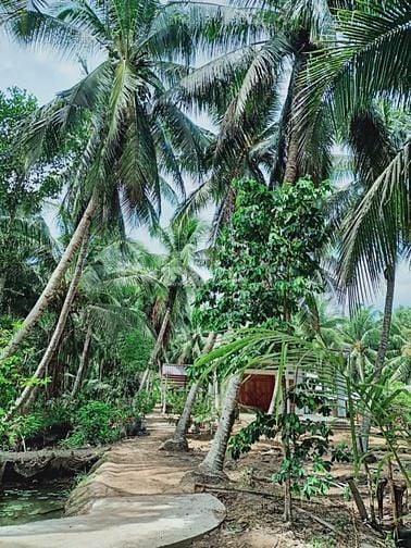 SOS GẤP GẤP CẦN TIỀN trong tuần bán gấp đất Nhơn Trạch 3ty/4000m, SHR