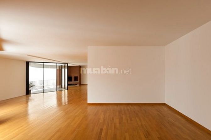 Giỏ hàng MBKD thông thoáng với ngân sách chỉ 4X triệu/tháng - Mizuland