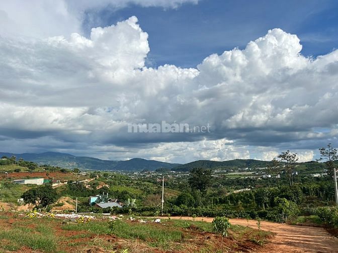 Đất Thị Trấn, MT đường 5m có sẵn thổ cư Gần nhựa DT725 Giá rẻ