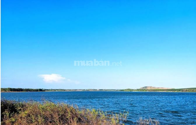 Cần bán 3 sào đất trồng mít mặt tiền đường nhựa giá tốt nhất quanh hồ 