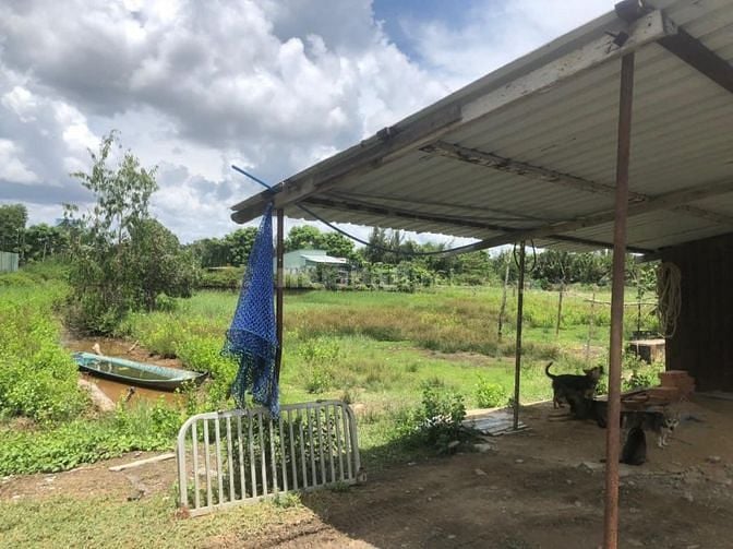 Bán 6000m2 đất nông nghiệp huyện Nhà Bè, tiện làm nhà vườn, trang trai