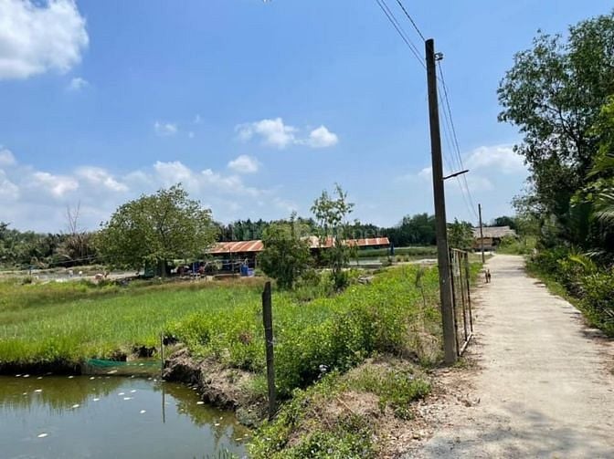 Bán 6000m2 đất nông nghiệp huyện Nhà Bè, tiện làm nhà vườn, trang trai