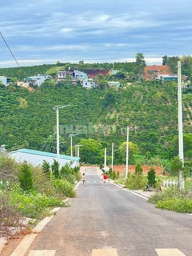 463m CÓ 200m THỔ CƯ CÁCH HỒ XUÂN HƯƠNG ĐÀ LẠT 12km GIÁ CHỈ 3 tỷ 9