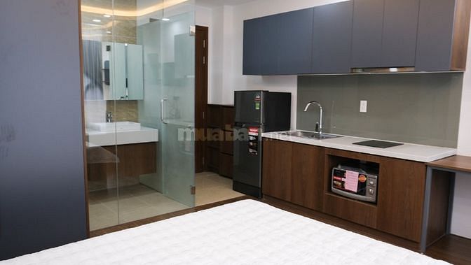 Chính chủ cho thuê căn hộ Full nội thất cao cấp,DT 25m2 ở Bình Thạnh