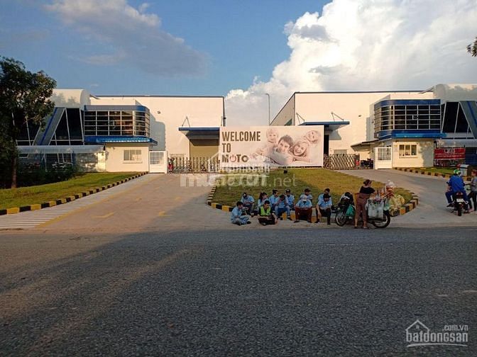BỂ NỢ SANG GẤP 200M2 ĐẤT GIÁ 290 TRIỆU, ĐẤT THỊ XÃ SỔ SẴN