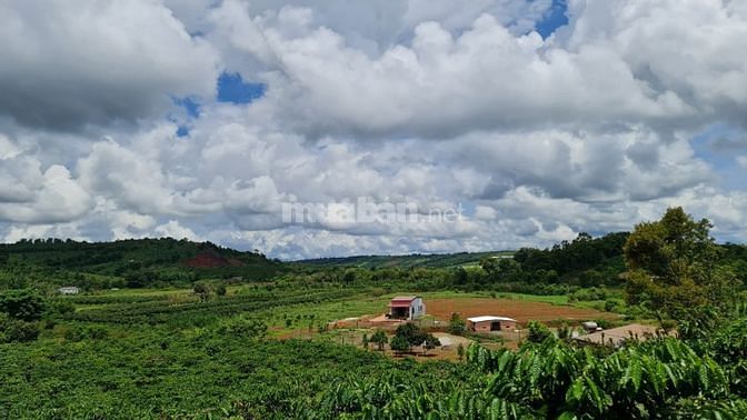 Hạ giá 200 triệu ra nhanh 1000m2 đất gần thị trấn Đức An , Đăk Song