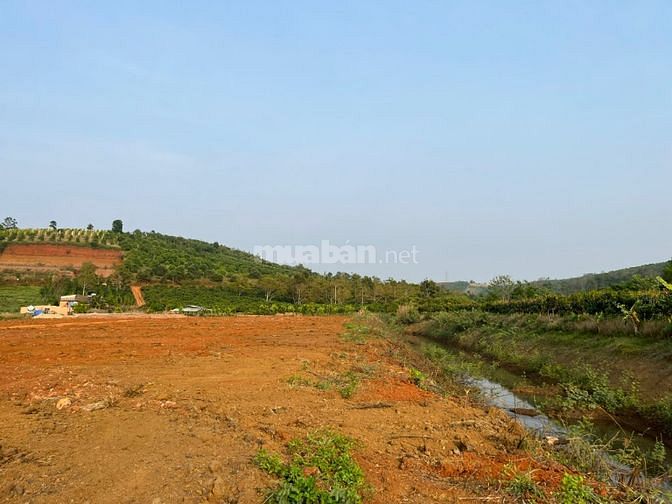 Hạ giá 200 triệu ra nhanh 1000m2 đất gần thị trấn Đức An , Đăk Song