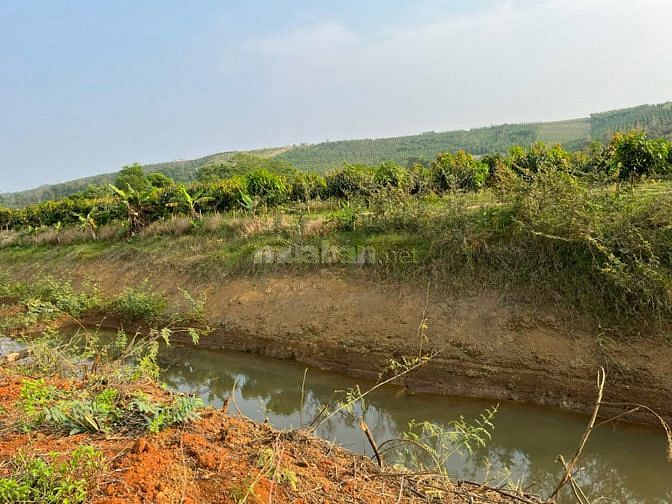 Hạ giá 200 triệu ra nhanh 1000m2 đất gần thị trấn Đức An , Đăk Song