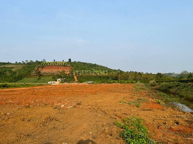 Hạ giá 200 triệu ra nhanh 1000m2 đất gần thị trấn Đức An , Đăk Song