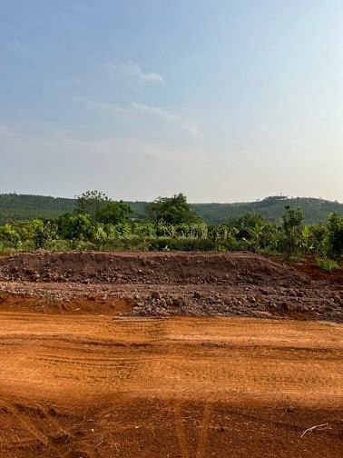Hạ giá 200 triệu ra nhanh 1000m2 đất gần thị trấn Đức An , Đăk Song