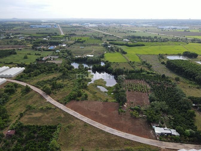 Bán nhanh lô đất thổ cư sát KCN Đất Đỏ, huyện Đất Đỏ, giá cực tốt !!!