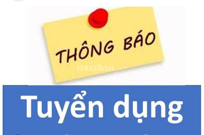 CẦN GẤP NHÂN VIÊN ĐI LÀM NGAY (CÓ CCCD )