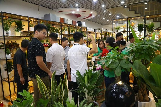 NV Bán Hàng Ca Tối 18h-21h Shop Hoa Cây Cảnh Trung Kính lương cao