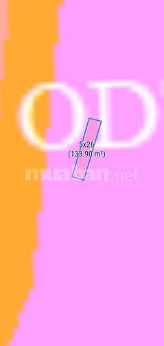🔵 Giá Ngộp 5x26(129,5m2) Hẻm Nguyễn Trãi Tân Bình Lagi 