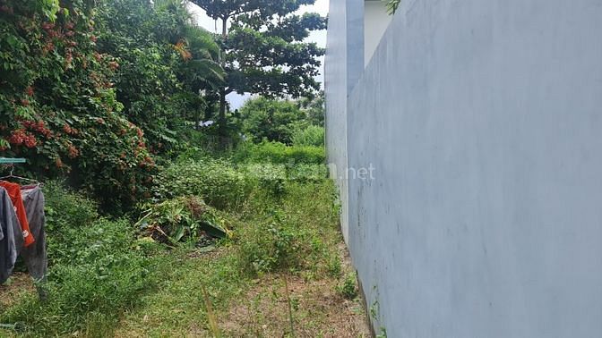 🔵 Giá Ngộp 5x26(129,5m2) Hẻm Nguyễn Trãi Tân Bình Lagi 