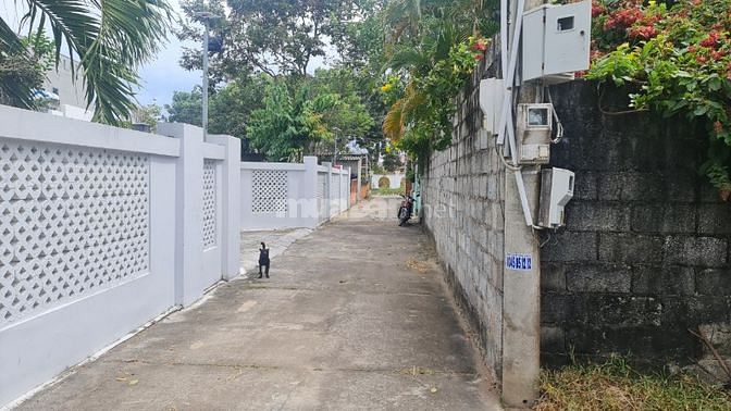 🔵 Giá Ngộp 5x26(129,5m2) Hẻm Nguyễn Trãi Tân Bình Lagi 