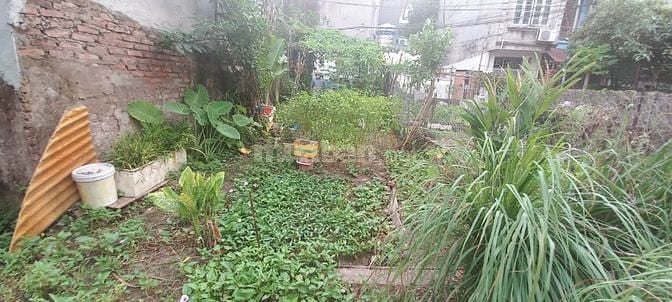 ĐẤT THỔ CƯ GIÁ RẺ NHẤT ĐÔNG NGẠC KẺ VẼ 60M2 GIÁ 3,6 TỶ 