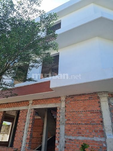Đất 5 sào cần bán , vườn sầu riêng sẵn thu hoạch 